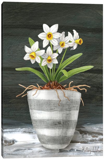 Farmhouse Garden II-White Daffodils Canvas Art Print