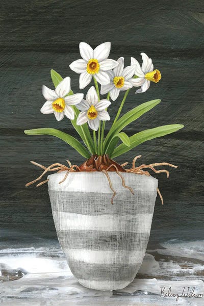 Kelsey Wilson: Farmhouse Garden II-White Daffodils by Kelsey Wilson