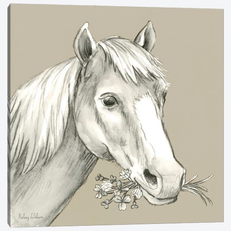 Watercolor Pencil Farm Color III-Horse Canvas Print #KEW37} by Kelsey Wilson Art Print