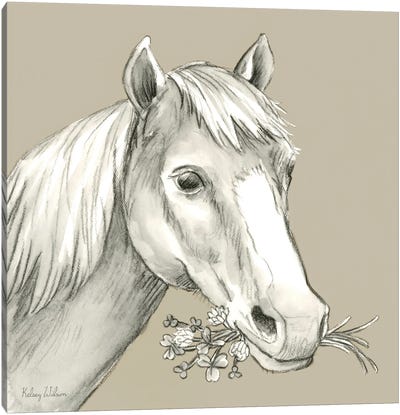 Watercolor Pencil Farm Color III-Horse Canvas Art Print