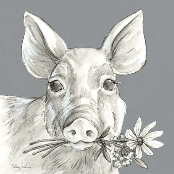 Watercolor Pencil Farm Color I-Pig