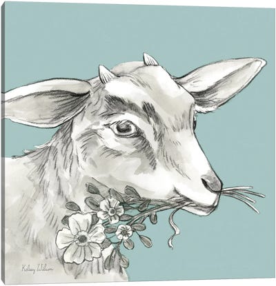 Watercolor Pencil Farm Color IV-Goat Canvas Art Print - Goat Art