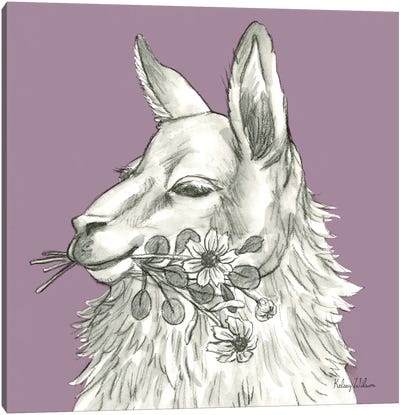 Watercolor Pencil Farm Color VII-Llama Canvas Art Print - Llama & Alpaca Art
