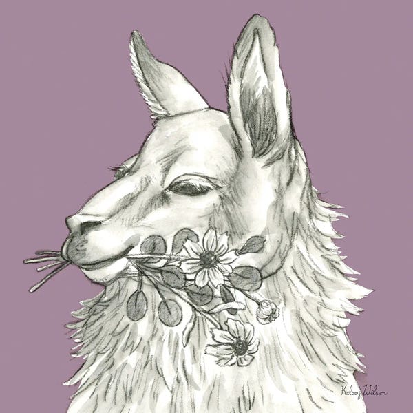 Kelsey Wilson: Watercolor Pencil Farm Color VII-Llama by Kelsey Wilson