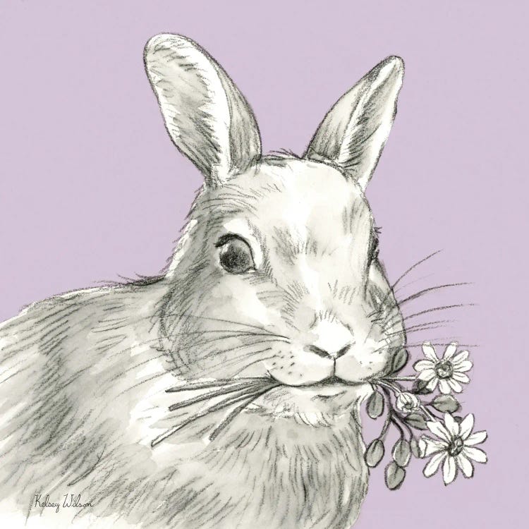 Watercolor Pencil Farm Color V-Rabbit by Kelsey Wilson wall art