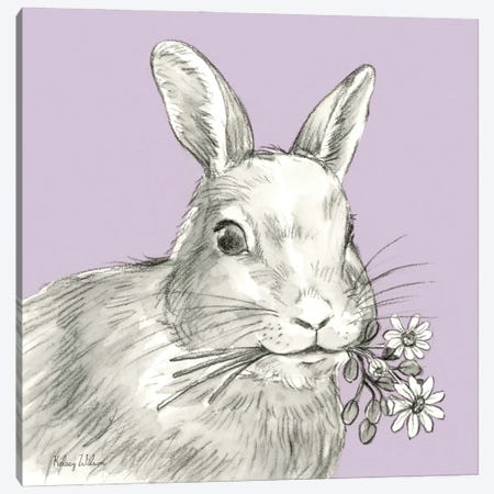 Watercolor Pencil Farm Color V-Rabbit Canvas Print #KEW44} by Kelsey Wilson Canvas Artwork