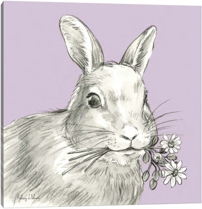 Watercolor Pencil Farm Color V-Rabbit Canvas Art Print