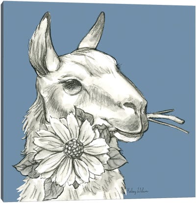 Watercolor Pencil Farm Color XI-Llama 2 Canvas Art Print - Llama & Alpaca Art