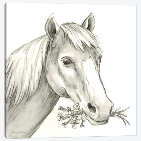 Watercolor Pencil Farm III-Horse Canvas Print #KEW48} by Kelsey Wilson Art Print
