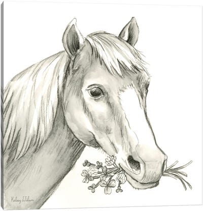 Watercolor Pencil Farm III-Horse Canvas Art Print