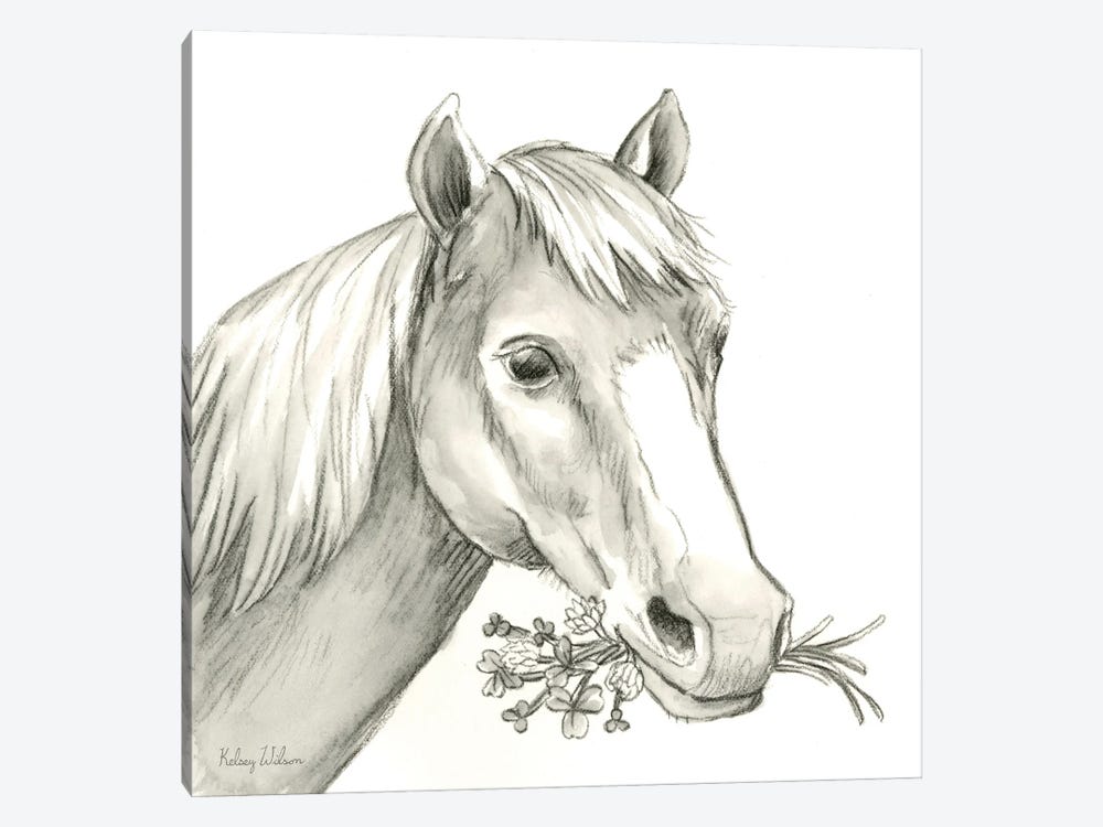 Watercolor Pencil Farm III-Horse by Kelsey Wilson 1-piece Canvas Art