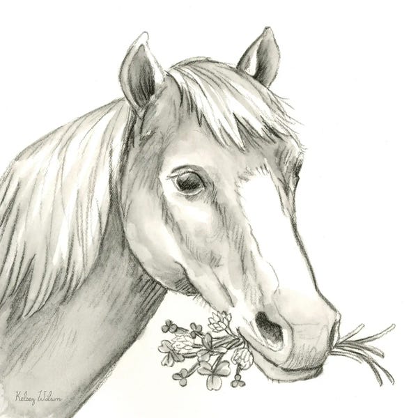 Kelsey Wilson: Watercolor Pencil Farm III-Horse by Kelsey Wilson