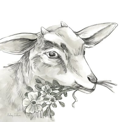Watercolor Pencil Farm IV-Goat by Kelsey Wilson art print