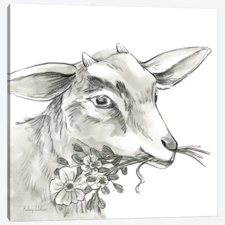 Watercolor Pencil Farm IV-Goat Canvas Print #KEW50} by Kelsey Wilson Canvas Wall Art