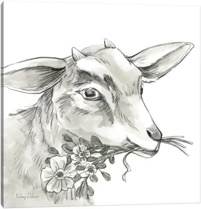 Watercolor Pencil Farm IV-Goat Canvas Art Print - Goat Art