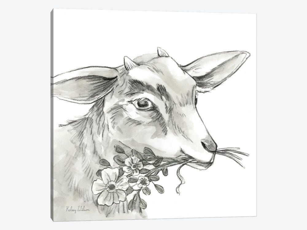 Watercolor Pencil Farm IV-Goat by Kelsey Wilson 1-piece Art Print