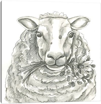 Watercolor Pencil Farm IX-Sheep Canvas Art Print