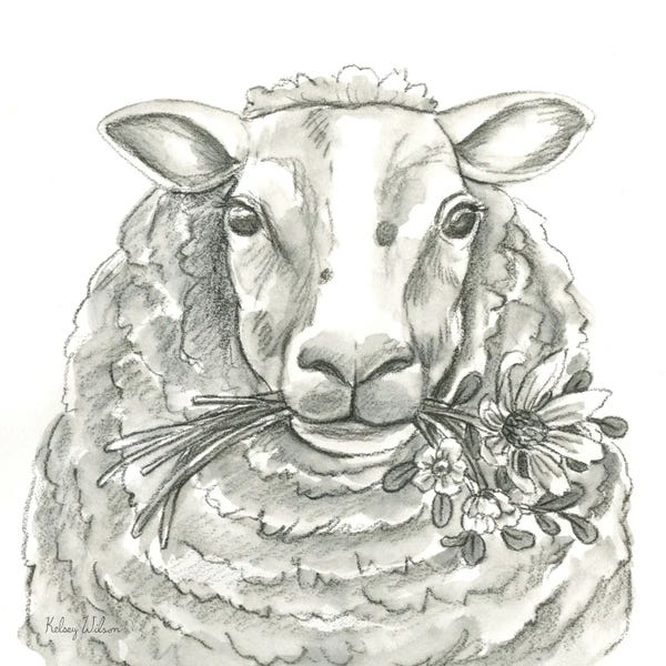 Kelsey Wilson: Watercolor Pencil Farm IX-Sheep by Kelsey Wilson
