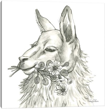 Watercolor Pencil Farm VII-Llama Canvas Art Print - Llama & Alpaca Art