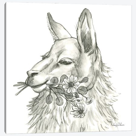 Watercolor Pencil Farm VII-Llama Canvas Print #KEW53} by Kelsey Wilson Canvas Art