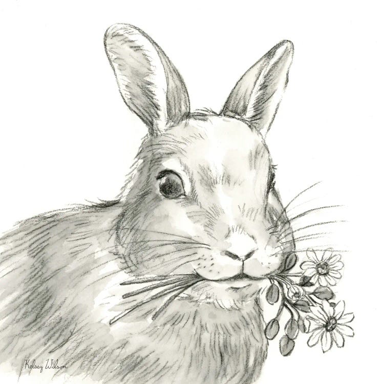 Watercolor Pencil Farm V-Rabbit by Kelsey Wilson wall art