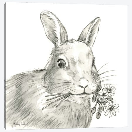 Watercolor Pencil Farm V-Rabbit Canvas Print #KEW55} by Kelsey Wilson Canvas Art Print
