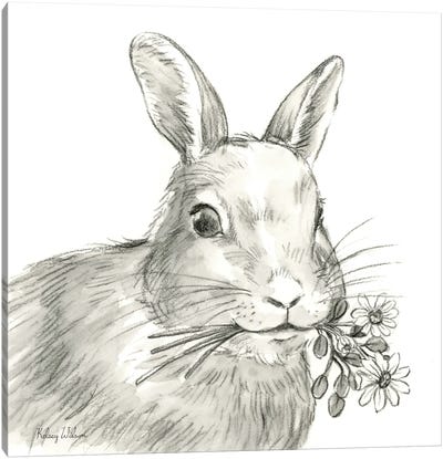 Watercolor Pencil Farm V-Rabbit Canvas Art Print