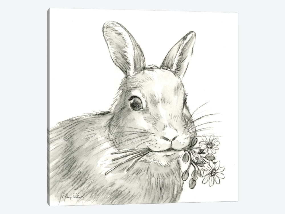 Watercolor Pencil Farm V-Rabbit by Kelsey Wilson 1-piece Canvas Art