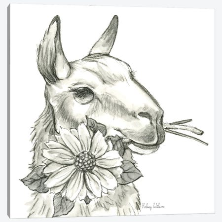 Watercolor Pencil Farm XI-Llama 2 Canvas Print #KEW57} by Kelsey Wilson Canvas Print
