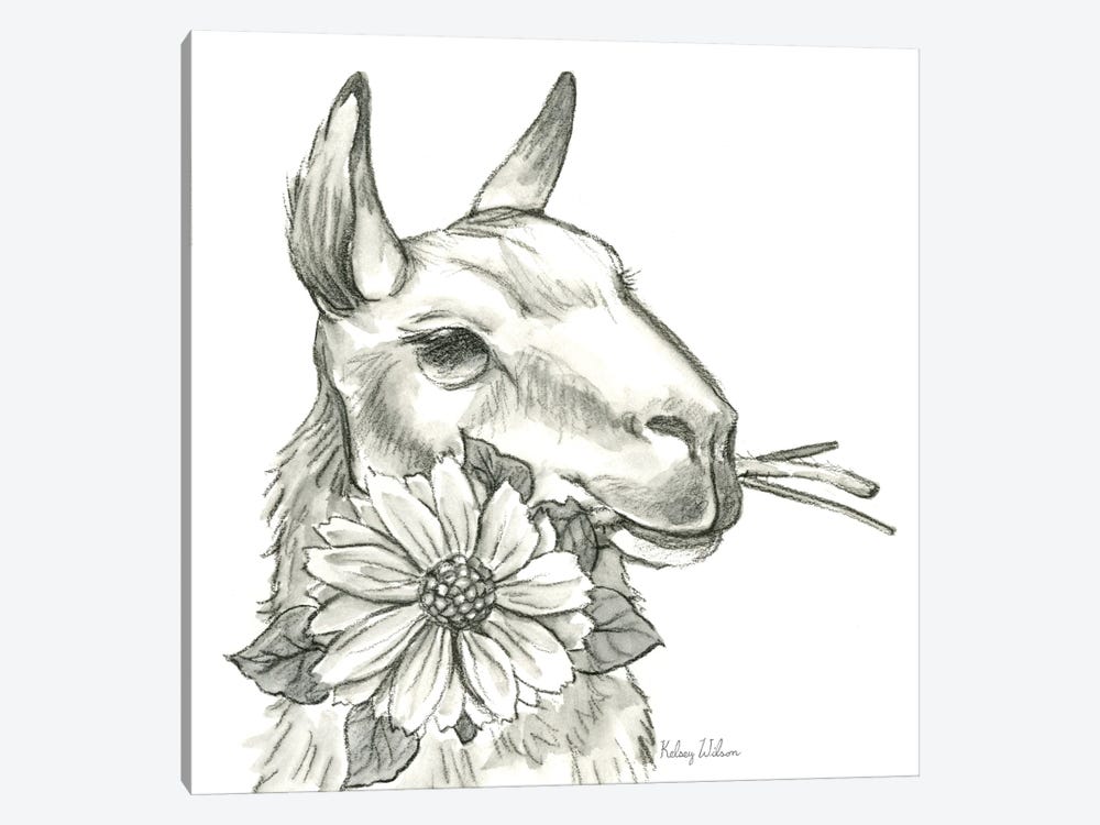 Watercolor Pencil Farm XI-Llama 2 by Kelsey Wilson 1-piece Canvas Art