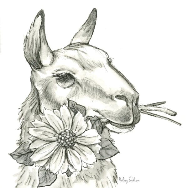 Kelsey Wilson: Watercolor Pencil Farm XI-Llama 2 by Kelsey Wilson