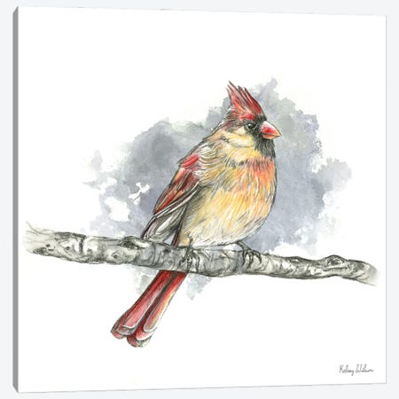 Birds & Branches II Female Cardinal Canvas Print #KEW58} by Kelsey Wilson Canvas Art