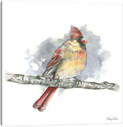 Birds & Branches II Female Cardinal Canvas Art Print