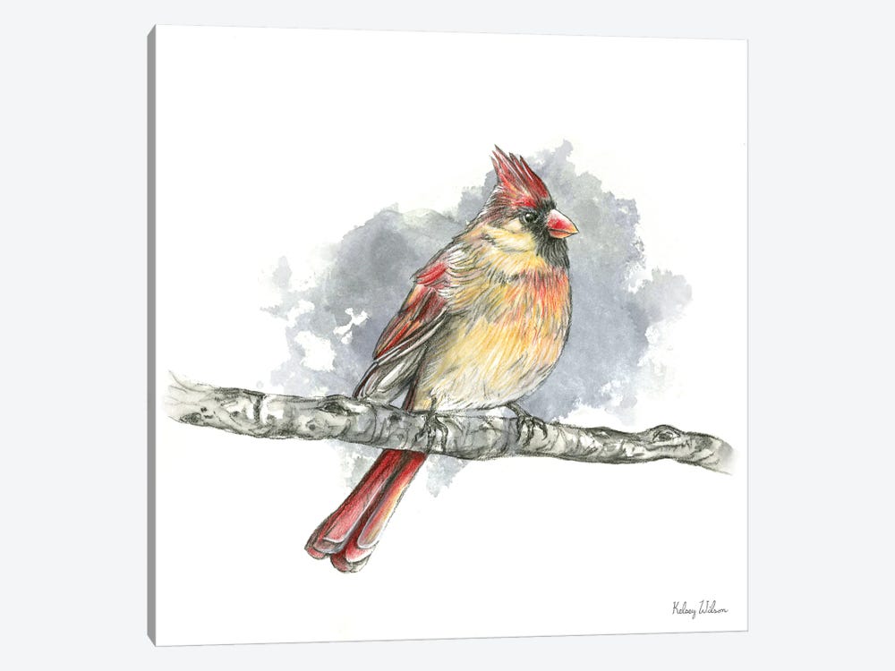 Birds & Branches II Female Cardinal by Kelsey Wilson 1-piece Art Print