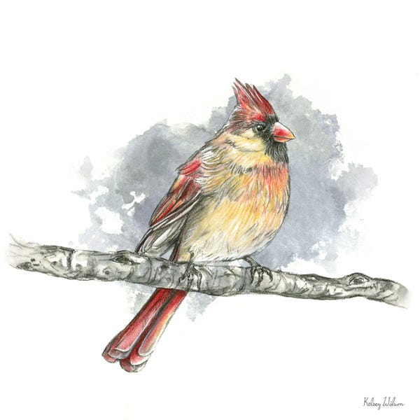 Kelsey Wilson: Birds & Branches II Female Cardinal by Kelsey Wilson
