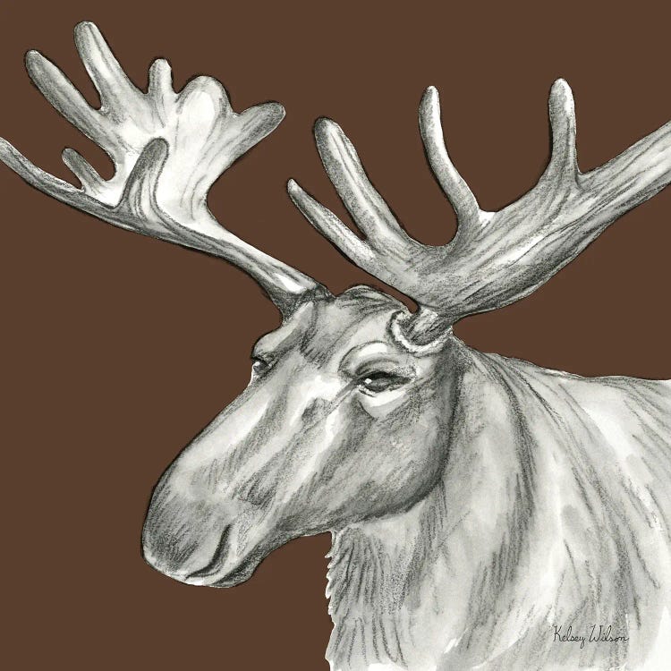 Watercolor Pencil Forest Color I Moose