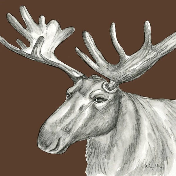 Kelsey Wilson: Watercolor Pencil Forest Color I Moose by Kelsey Wilson