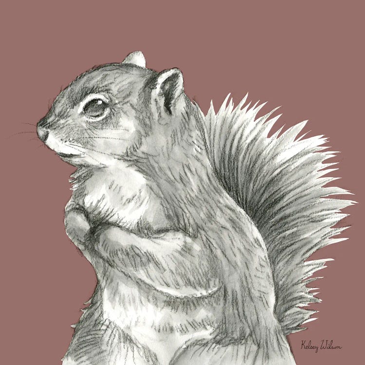 Watercolor Pencil Forest Color IV Squirrel by Kelsey Wilson canvas print
