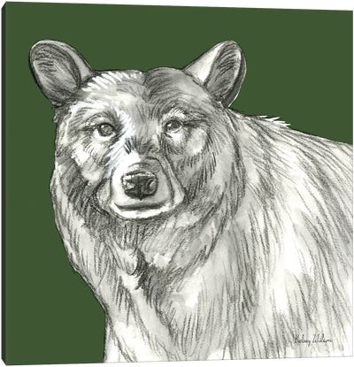 Watercolor Pencil Forest Color V Bear Canvas Art Print - Grizzly Bear Art