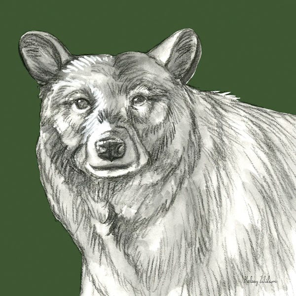 Kelsey Wilson: Watercolor Pencil Forest Color V Bear by Kelsey Wilson