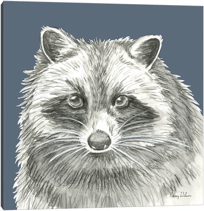 Watercolor Pencil Forest Color VI Raccoon Canvas Art Print - Raccoon Art