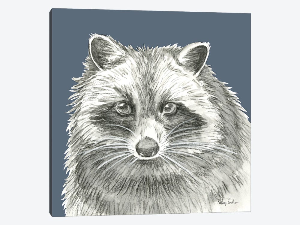 Watercolor Pencil Forest Color VI Raccoon by Kelsey Wilson 1-piece Canvas Art