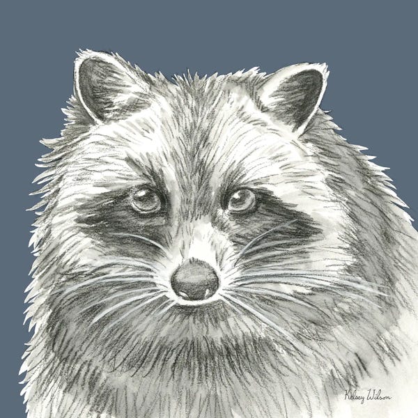 Kelsey Wilson: Watercolor Pencil Forest Color VI Raccoon by Kelsey Wilson