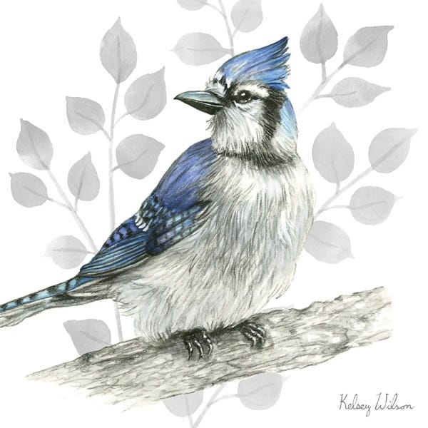 Kelsey Wilson: Backyard Birds I by Kelsey Wilson