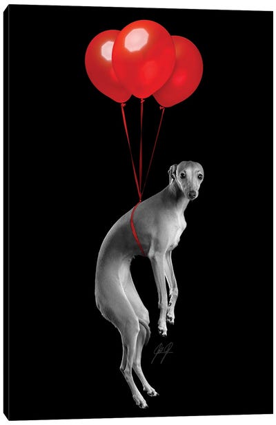 Party Dog I Canvas Art Print - Italian Greyhound Art