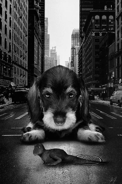 Kids Dinosaur Art: Play Time by Kathrin Federer