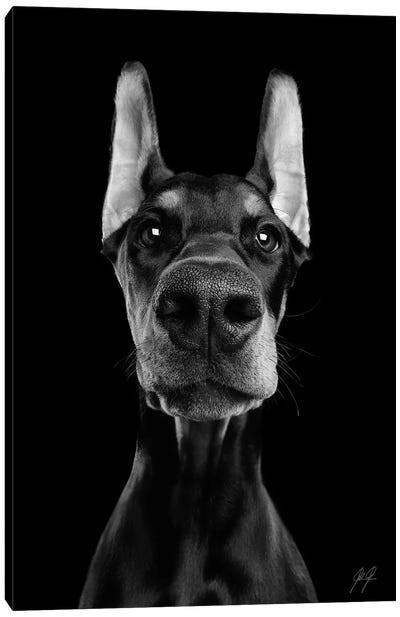 What's Up? II Canvas Art Print - Dog Photography