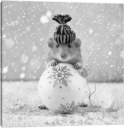 Winter Rat Canvas Art Print - Winter Wonderland