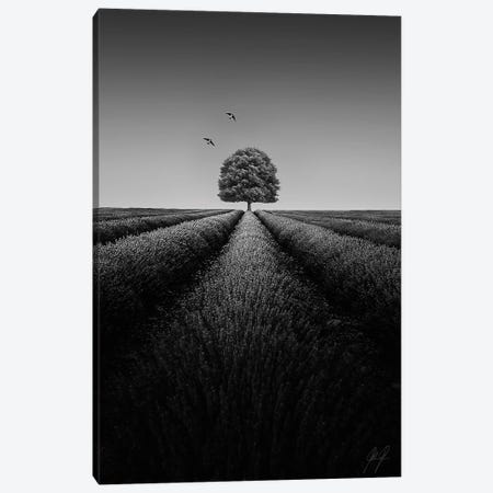 Compelling III Canvas Print #KFD11} by Kathrin Federer Canvas Print
