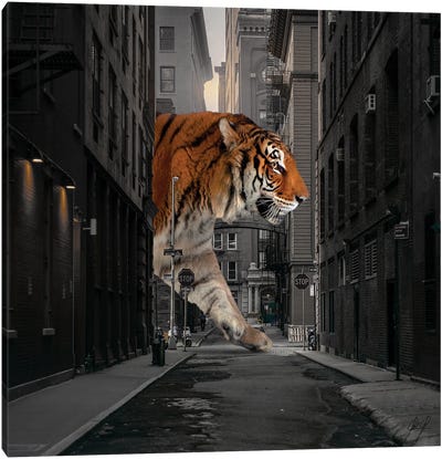 Tiger In NY I Canvas Art Print - Animal Humor Art
